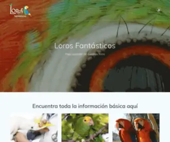 Lorosfantasticos.org(Loros Fantásticos) Screenshot
