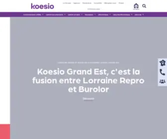 Lorraine-Repro.com(Grand Est) Screenshot