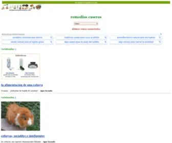 Los-Mejores-Remedios-Caseros.com(Remedios caseros) Screenshot