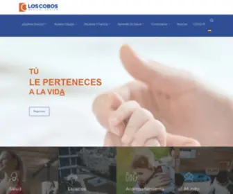 Loscobosmc.com(Los Cobos Medical Center) Screenshot