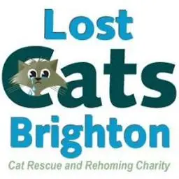 Lostcatsbrighton.org.uk Favicon