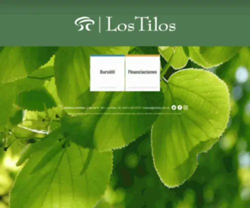 Lostilos.com.ar(LOS TILOS) Screenshot