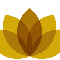 Lotusrisinginternational.org Favicon