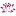 Lotustarot.com Favicon