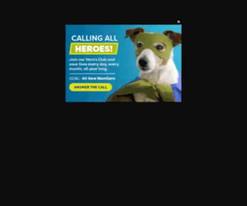 Louisianaspca.org(Louisiana SPCA) Screenshot