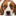 Lovable-Dogs.com Favicon