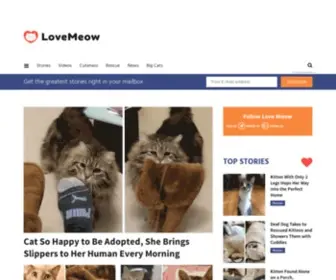 Lovemeow.com(Love Meow) Screenshot