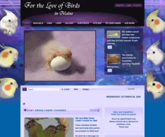 Loveofbirds.com(For the Love of Birds in Maine) Screenshot
