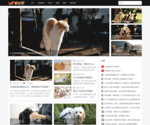 Lovepet.cn(爱宠网) Screenshot
