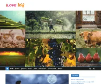 Lovetaifu.com(ILove ไท่ฟู่) Screenshot