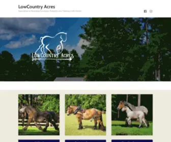 Lowcountryacres.com(Specializes in Breeding European Brabants and Training Draft Horses) Screenshot