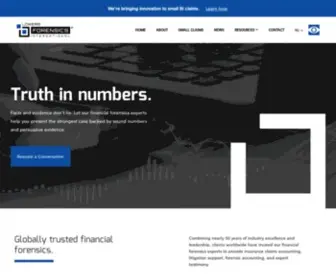 Lowersforensics.com(Financial Forensics Company) Screenshot