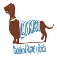 Lowriderrescue.org Favicon