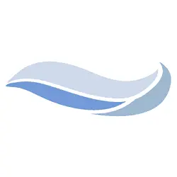 Lowwaterbridge.org Favicon