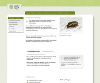 Loy-Webdesign.de(Page Restrictor Ping) Screenshot