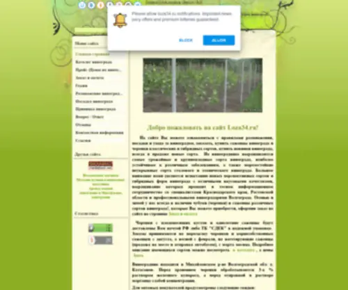 Loza34.ru(Продажа черенков и саженцев винограда в Михайловке) Screenshot