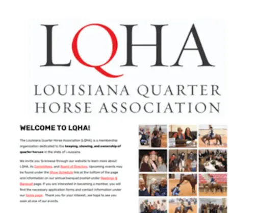 Lqha.com(Louisiana Quarter Horse Association) Screenshot