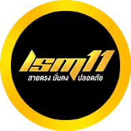 LSM11.com Favicon