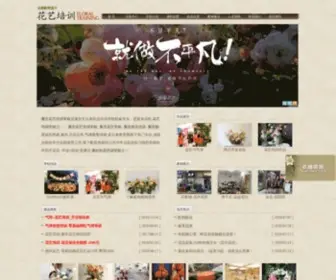 LT181.cn(重庆花艺学校) Screenshot