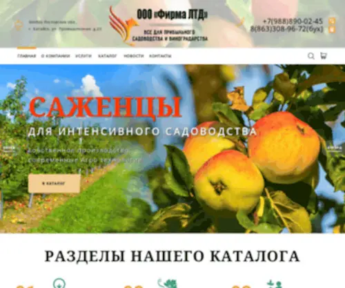 LTdsad.ru(LTdsad) Screenshot