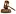 Luatdansu.net Favicon