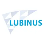 Lubinus-Klinik.de Favicon