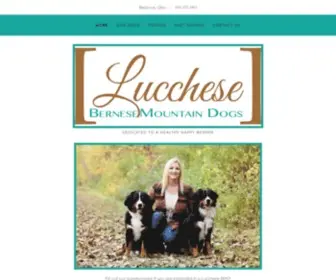 Lucchesebmd.com(Lucchese Bernese Mountain Dogs) Screenshot