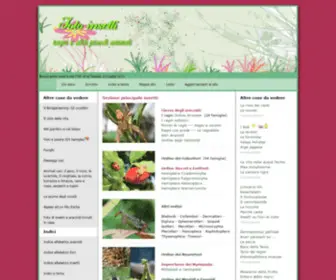 Lucianabartolini.net(Foto di insetti) Screenshot