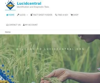 Lucidcentral.org(Home) Screenshot