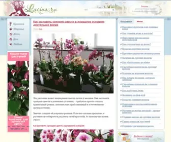 Lucina.ru(макияж) Screenshot