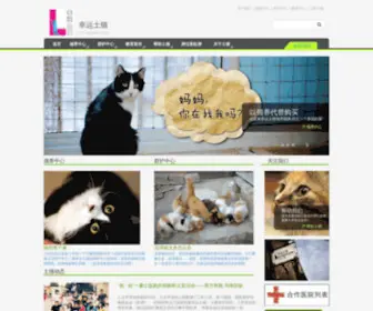 Luckycats.org.cn(幸运土猫) Screenshot