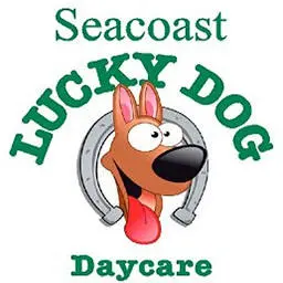 Luckydogdaycarenh.com Favicon