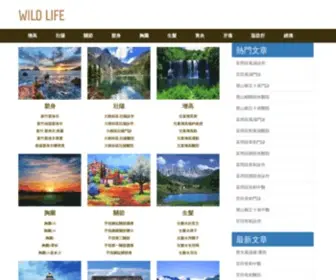 Luckyjson.loan(健康生活網) Screenshot