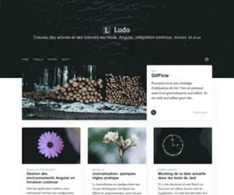 Ludovicwyffels.dev(Code avec Ludo) Screenshot