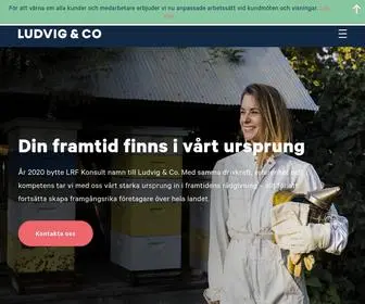 Ludvig.se(Redovisningsbyrå) Screenshot