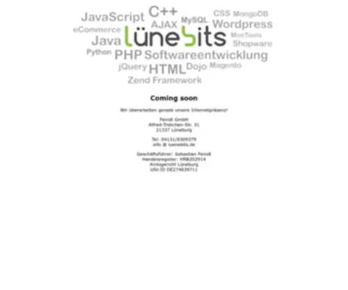 Luenebits.de(Professionelle Wordpress Agentur Lüneburg) Screenshot