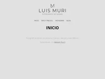 Luismuri.com(LUIS MURI) Screenshot