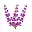 Lullabylavender.co.nz Favicon