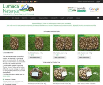 Lumaca-Bio.it(Vendita Lumache Naturali al 100%) Screenshot