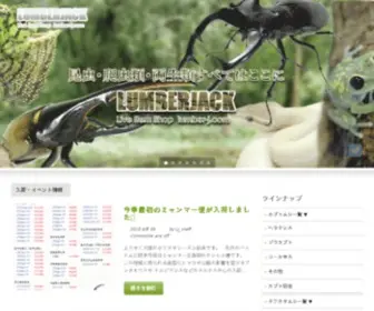 Lumber-J.com(ランバージャック) Screenshot