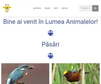Lumeaanimalelor.com(Lumeaanimalelor) Screenshot