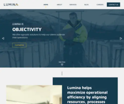 Lumina.ca(Lumina Management Consulting) Screenshot