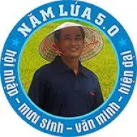 LuongVinhkim.vn Favicon