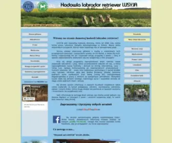 Lusyja.pl(Hodowla labrador retriever Lusyja) Screenshot