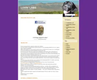 Luvinlabs.com(Luvin' Labs) Screenshot
