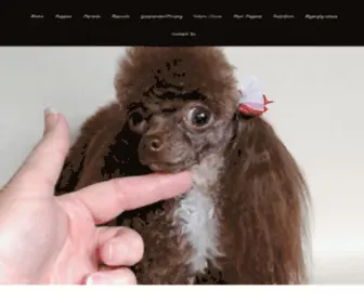 Luvtcuppoodles.com(Luv tea cup poodles for sale in Micros) Screenshot