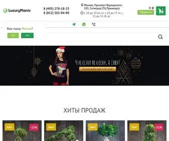 Luxuryplants.ru(Интернет) Screenshot