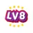 LV8.eu Favicon