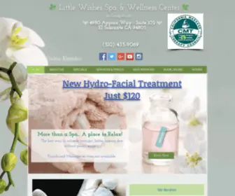 LWspa.com(LIttle Wishes Spa & Wellness Center) Screenshot