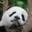 LXTX.tech Favicon
